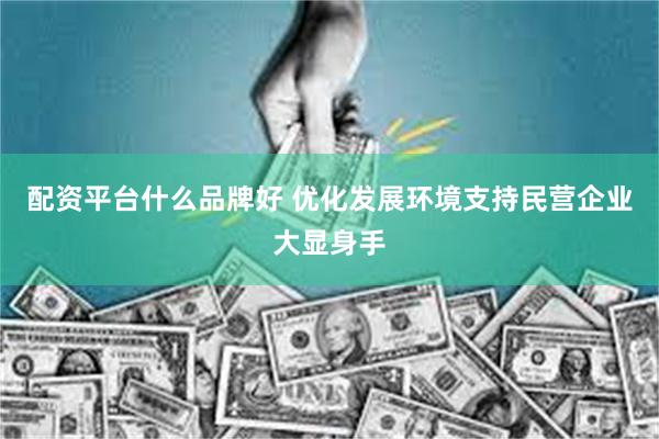 配资平台什么品牌好 优化发展环境支持民营企业大显身手
