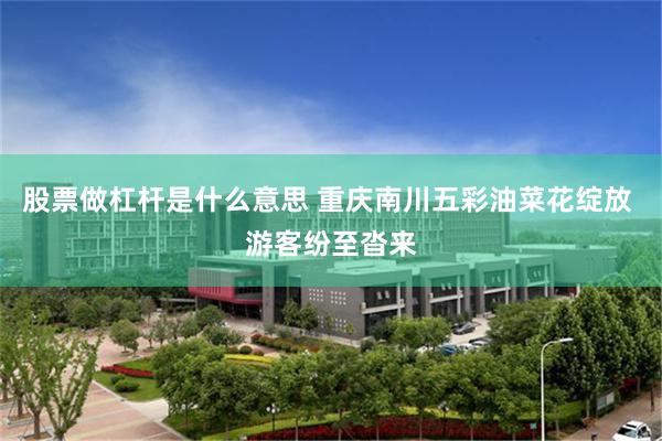 股票做杠杆是什么意思 重庆南川五彩油菜花绽放 游客纷至沓来