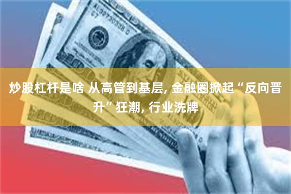 炒股杠杆是啥 从高管到基层, 金融圈掀起“反向晋升”狂潮, 行业洗牌