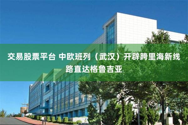 交易股票平台 中欧班列（武汉）开辟跨里海新线路直达格鲁吉亚