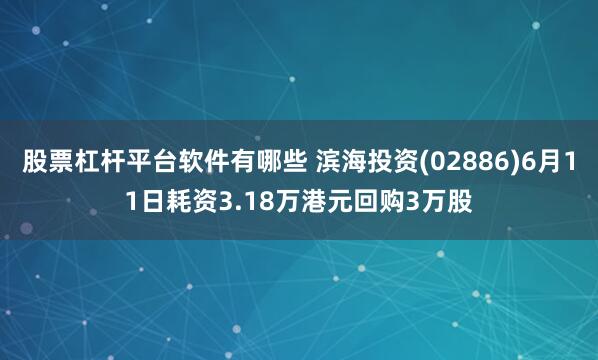 股票杠杆平台软件有哪些 滨海投资(02886)6月11日耗资3.18万港元回购3万股